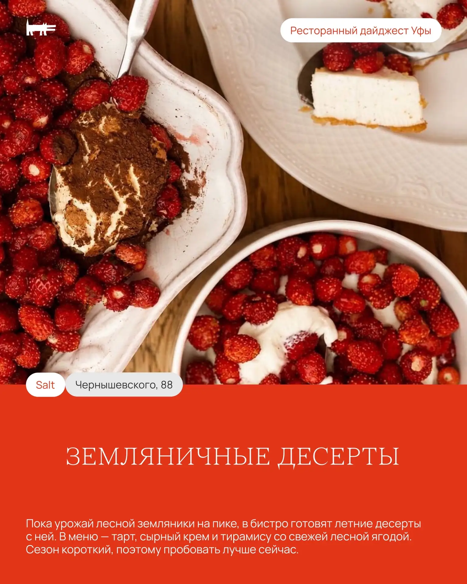 Ресторанный дайджест Уфы: осьминог по-мароккански, десерты с земляникой и мясной «Наполеон»

Уфимски