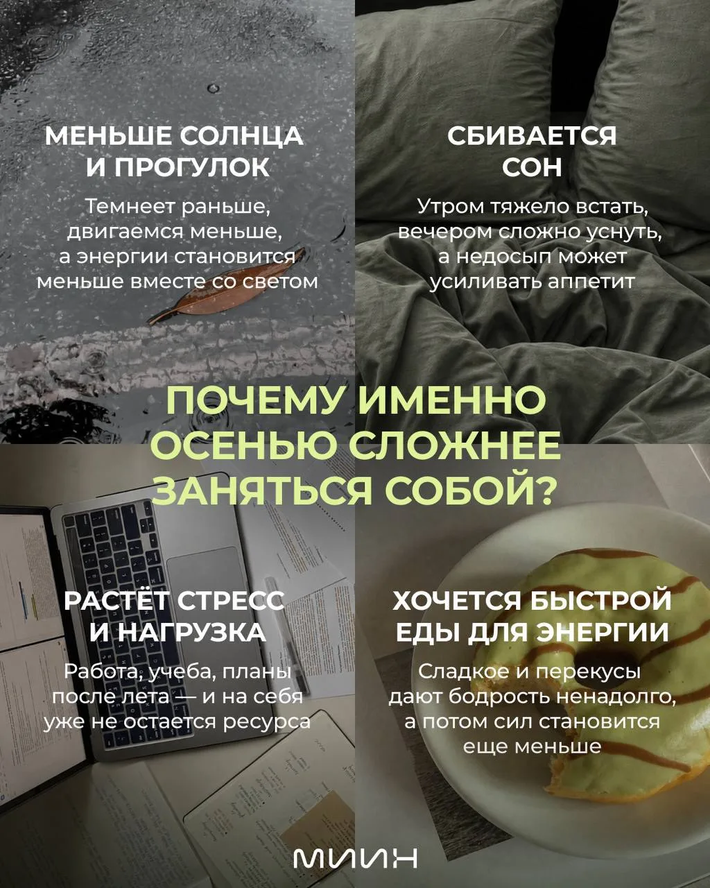 ⭐️Осень, плед и мысль