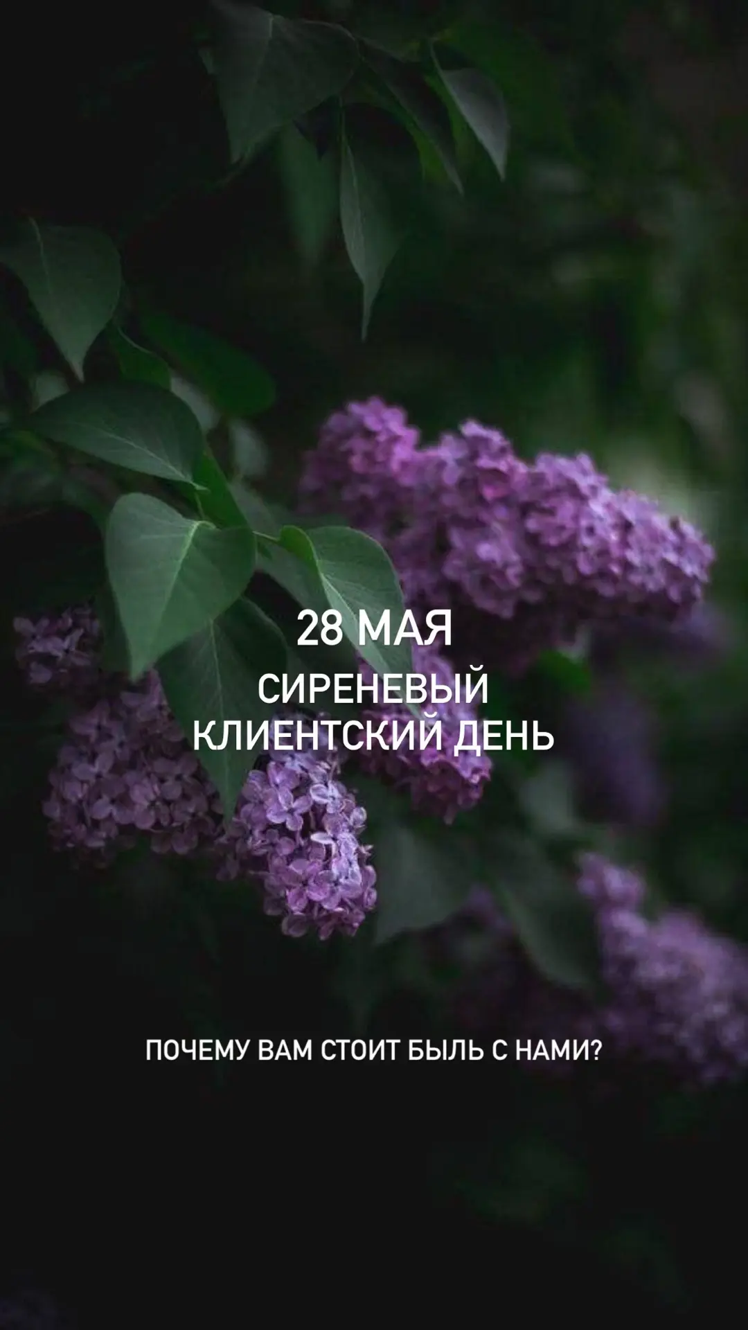 #сиреневыйклиентскийдень