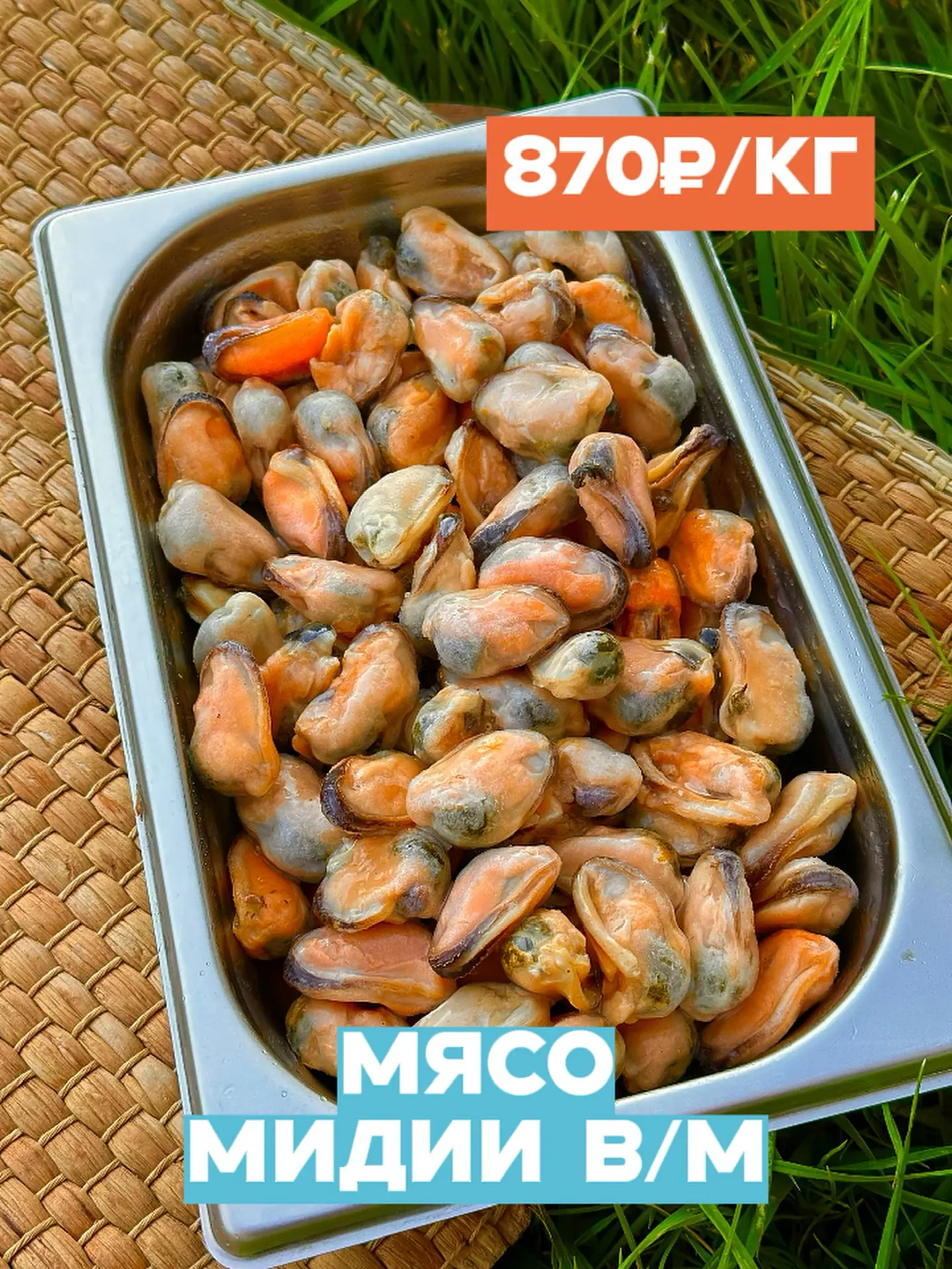 МОРСКИЕ ГАДЫ🪸🤭 — доступные морские деликатесы