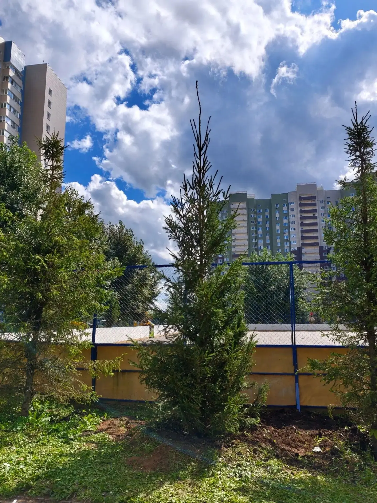 🌿 Рабочие моменты 🌿