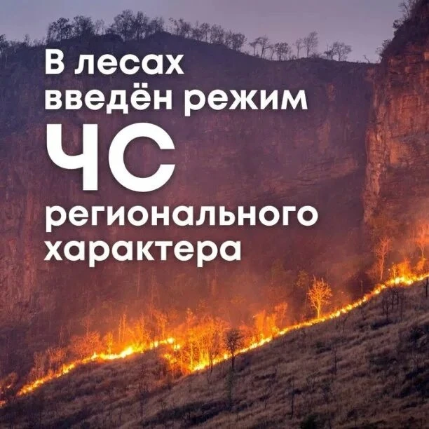 👆👆👆В Хабаровском крае введены превентивные меры по ограничению доступа в лесные масс...