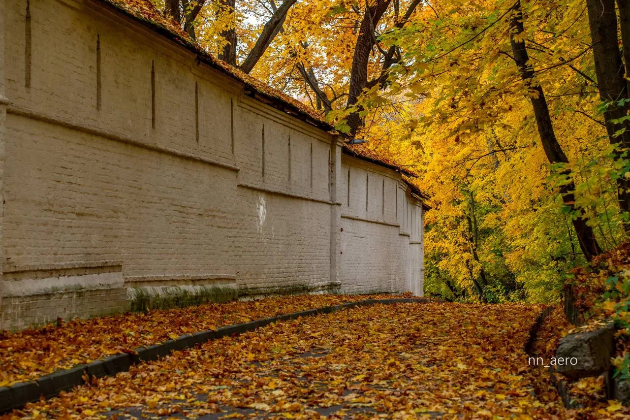 🍁Октябрь — прекрасное время для прогулок по почти секретной тропе.