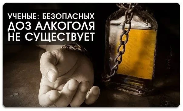 В 2026 году Всемирная организация здравоохранения и Министерство здравоохранения РФ при...