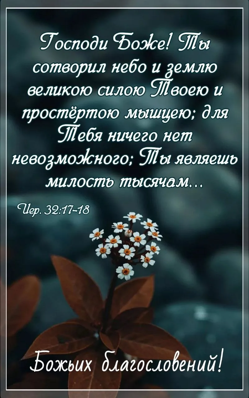 Божьих благословений вам и вашим близким! 🙏