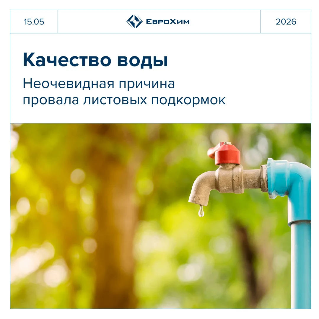 💧 Качество воды для листовых подкормок: что нужно знать каждому агроному