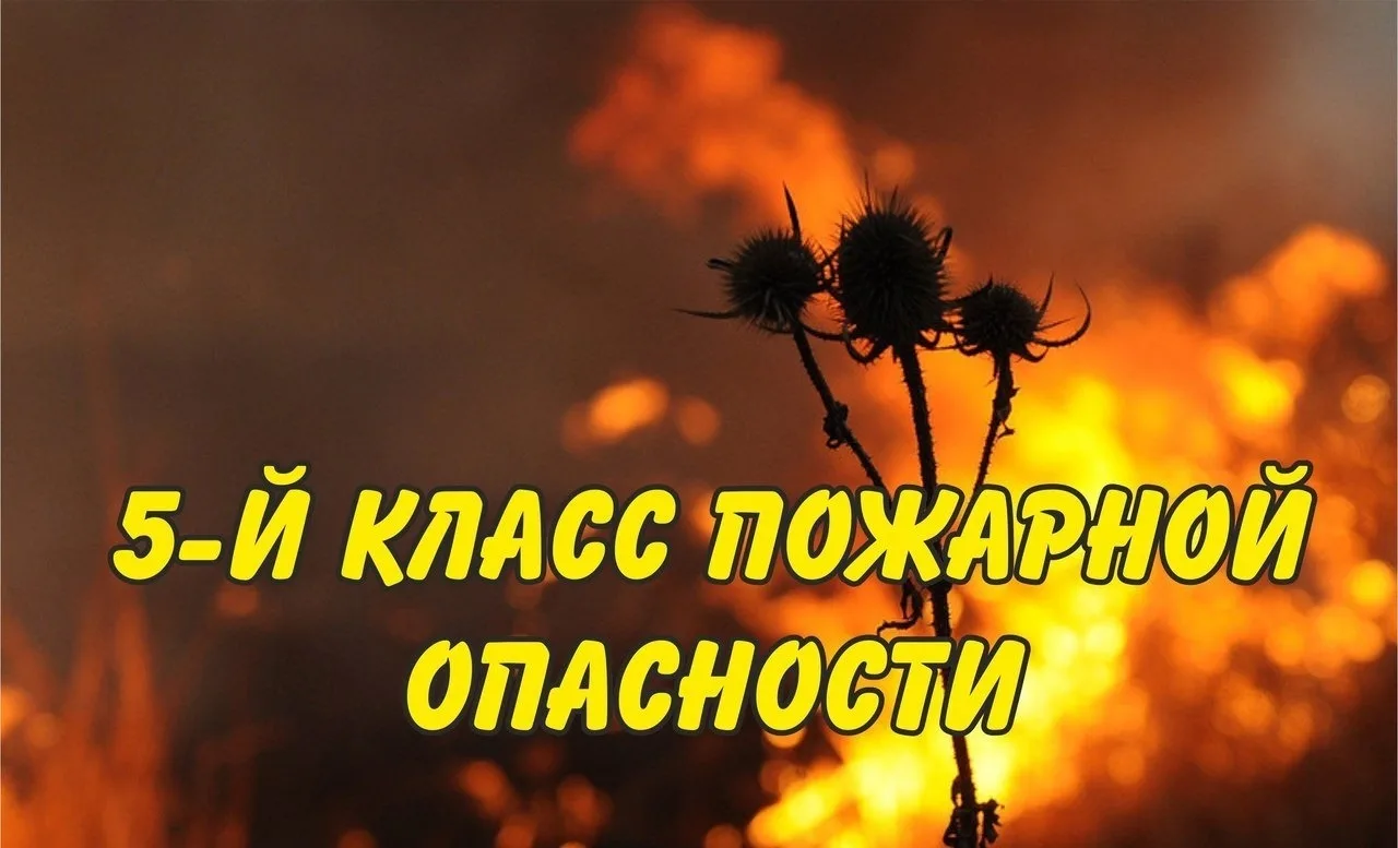 Внимание! В нашем районе прогнозируют чрезвычайную пожароопасность в эти выходные дни.�...