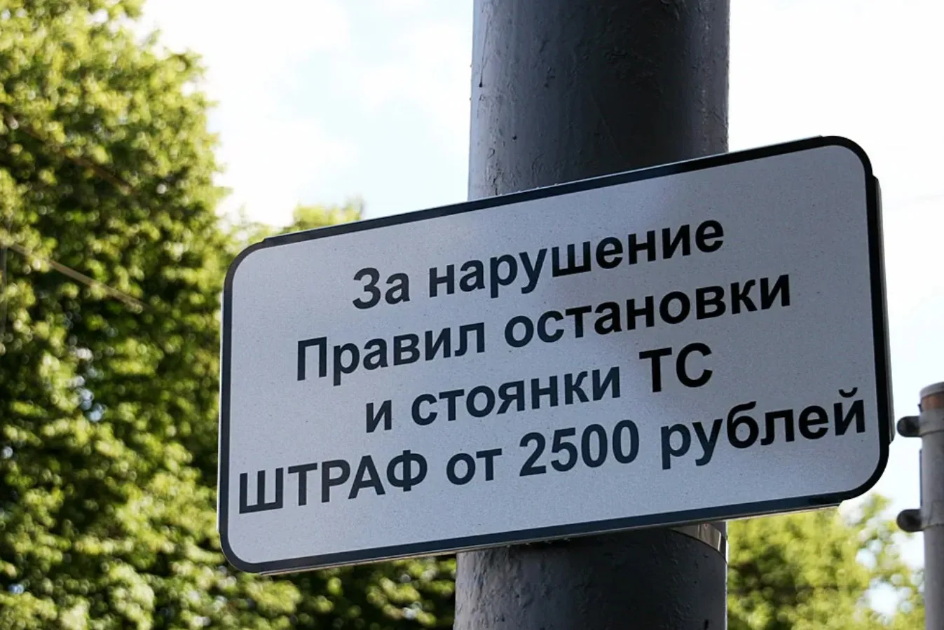 ⚡ Как проверить штрафы за парковку за минуту