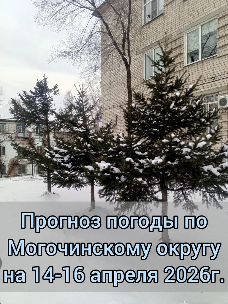🌤️Прогноз погоды по Могочинскому району на 14 – 16 апреля   📆14 апреля 🌙ночью преимущественно без ос
