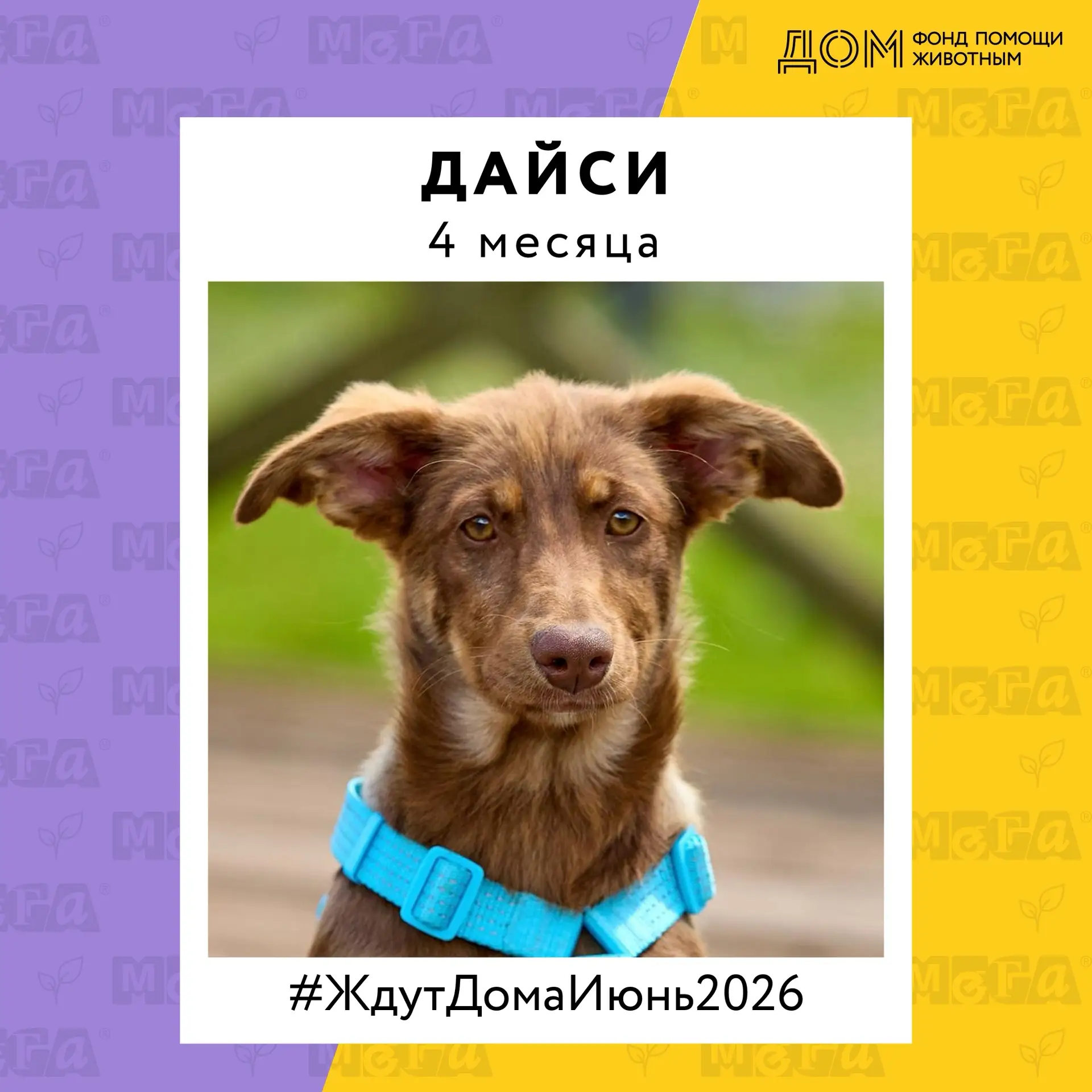 Вы думали, у нас на выставке только котики? А вот и нет!

Пора показать самых маленьких участников #