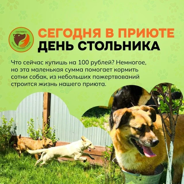 Сделать доброе дело в пятницу — это не просто поступок, это спасение чьей-то жизни. ❤Ст...
