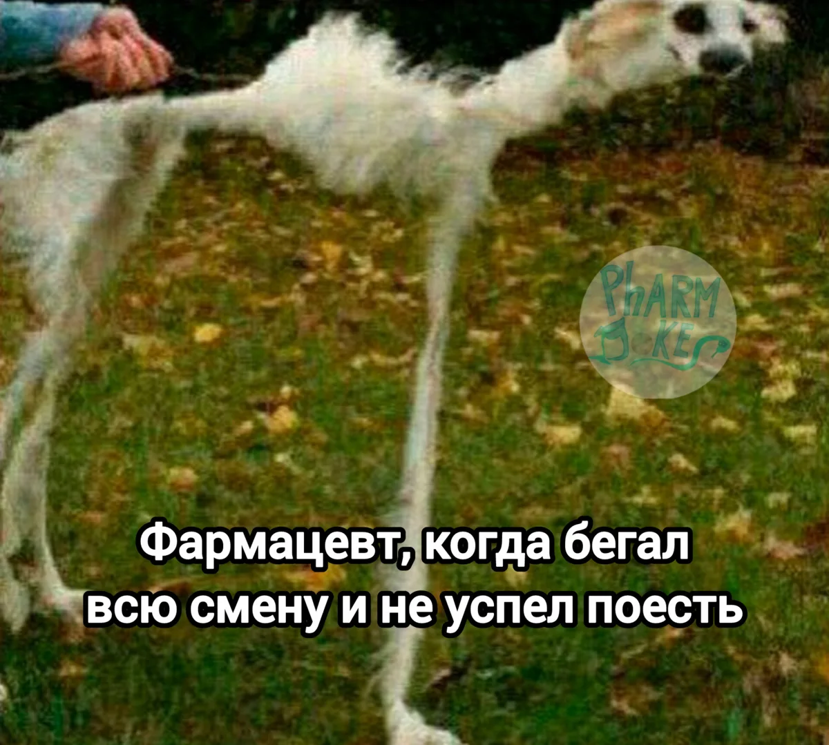 PharmJokes. Подписаться
