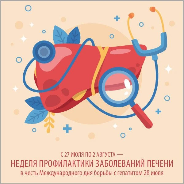С 27 июля по 2 августа — Неделя профилактики заболеваний печени (в честь Международного дня борьбы с