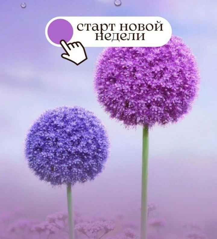 Всем привет! Праздники закончились... Но это не повод грустить! Ведь эта неделя началас...