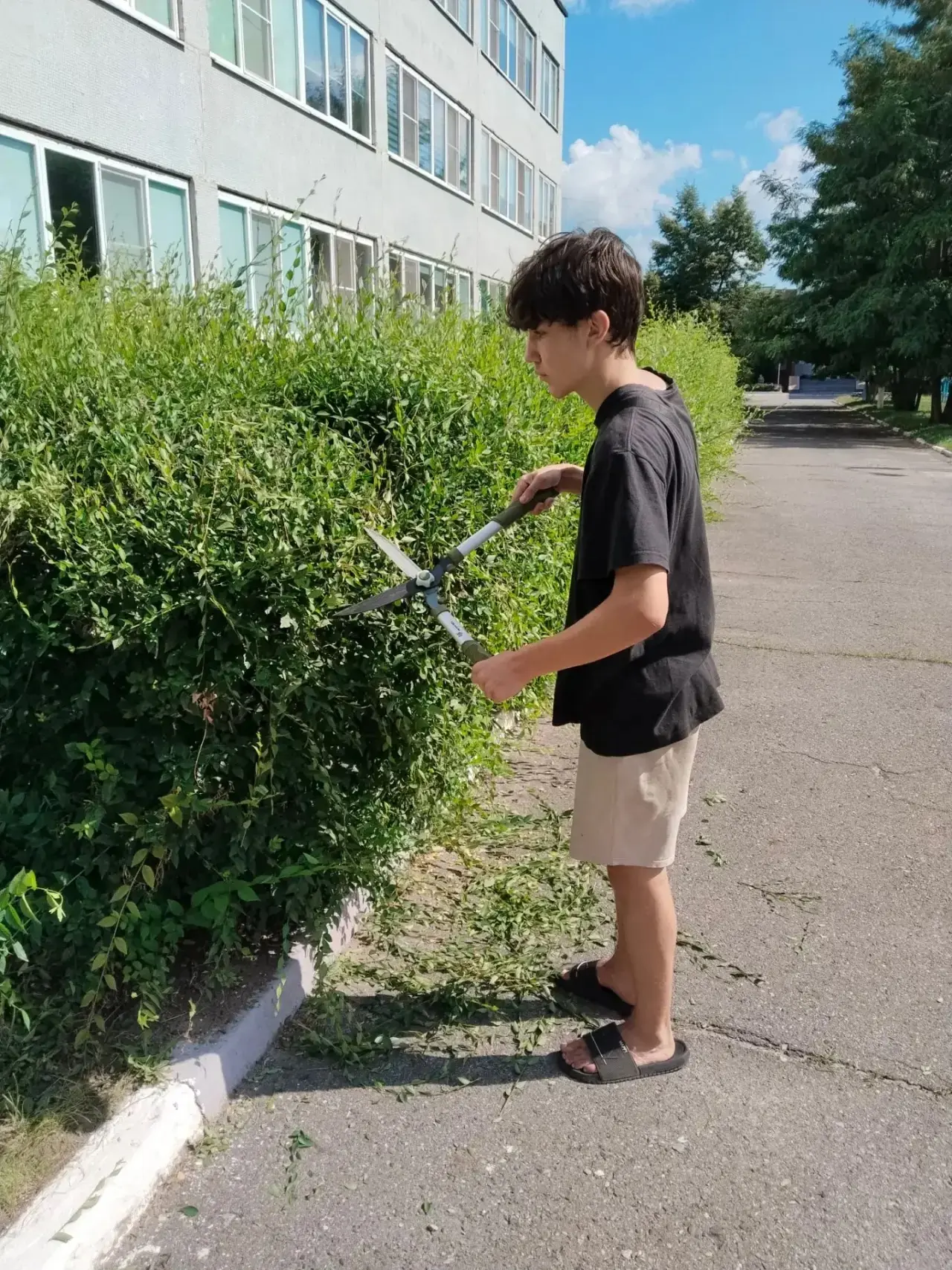 🌿Трудовое воспитание подрастающего поколения — одно из главных направлений работы совр...