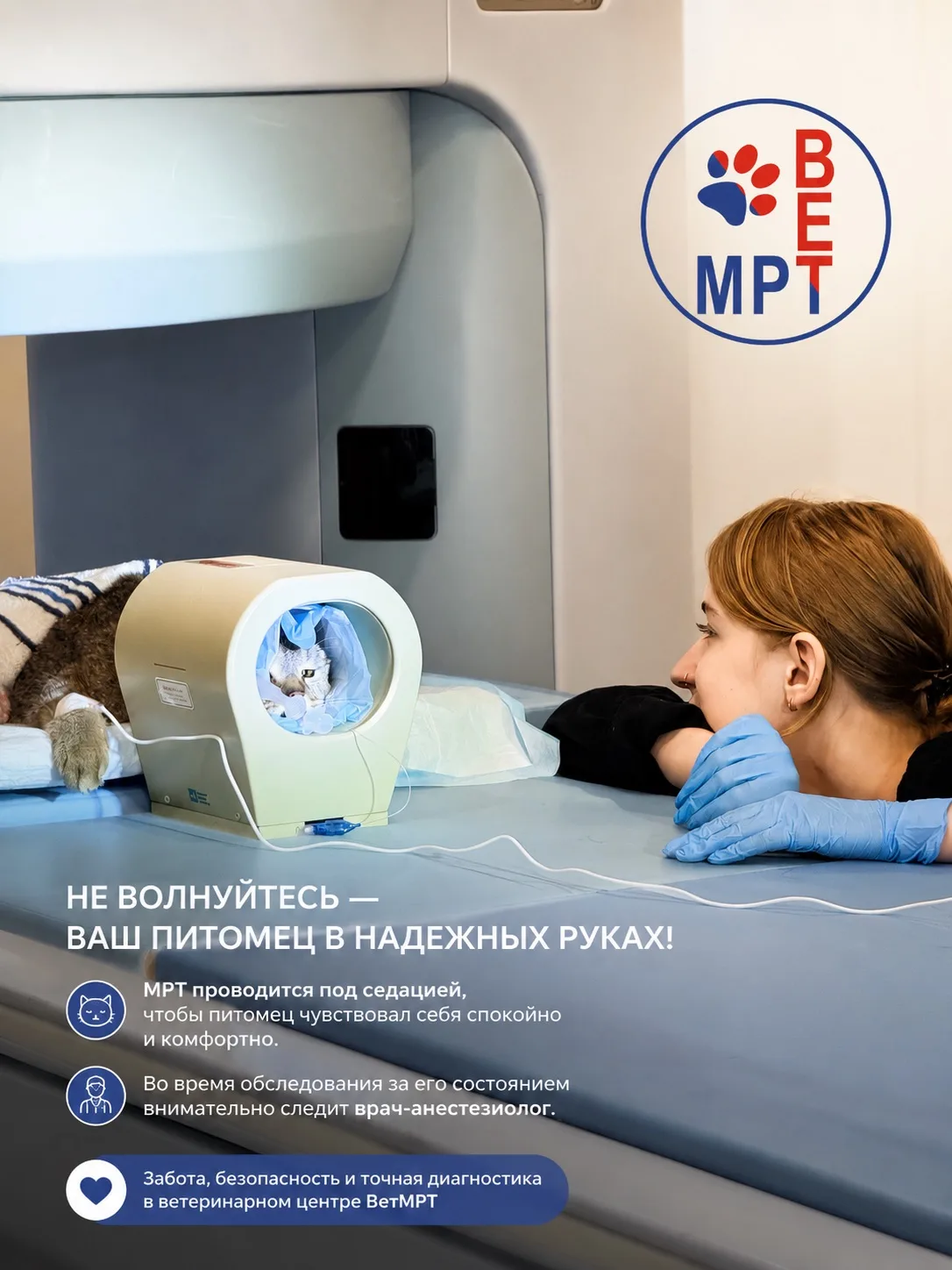 🐾 Не волнуйтесь — ваш питомец в надежных руках! 🐾