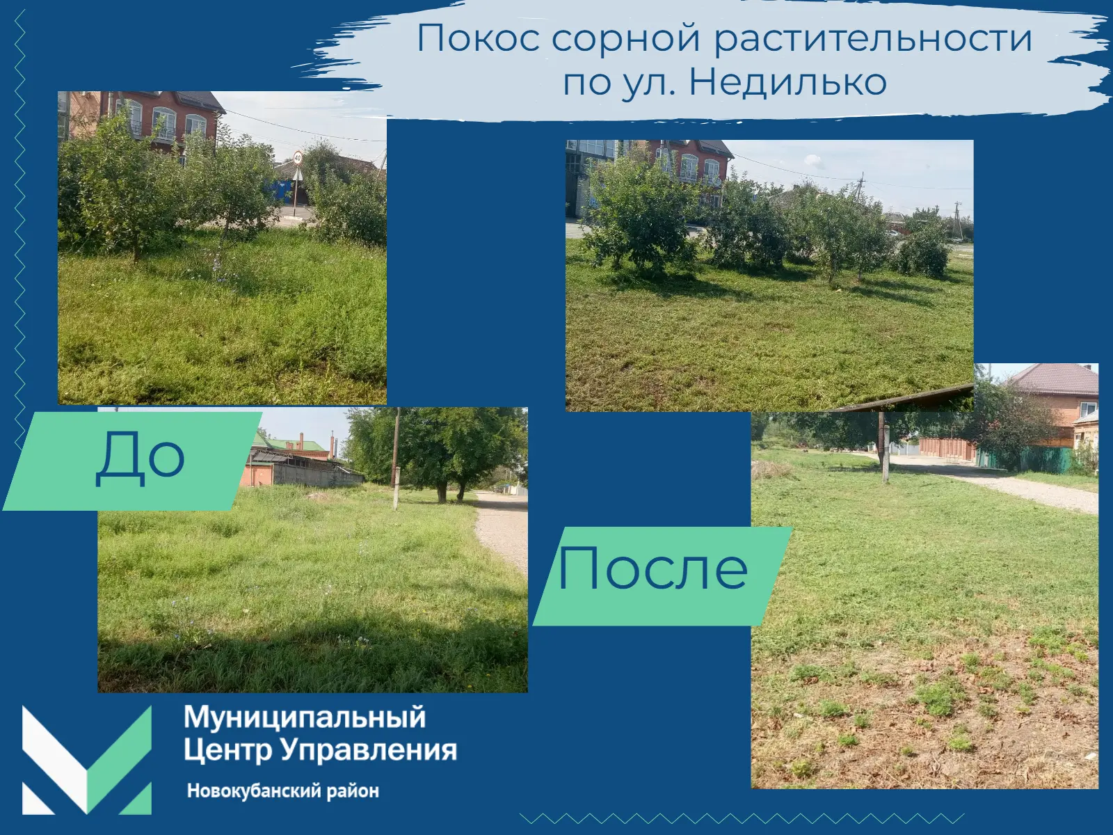 📩 К нам на Портал обратной связи поступило обращение с просьбой покосить сорную растит...