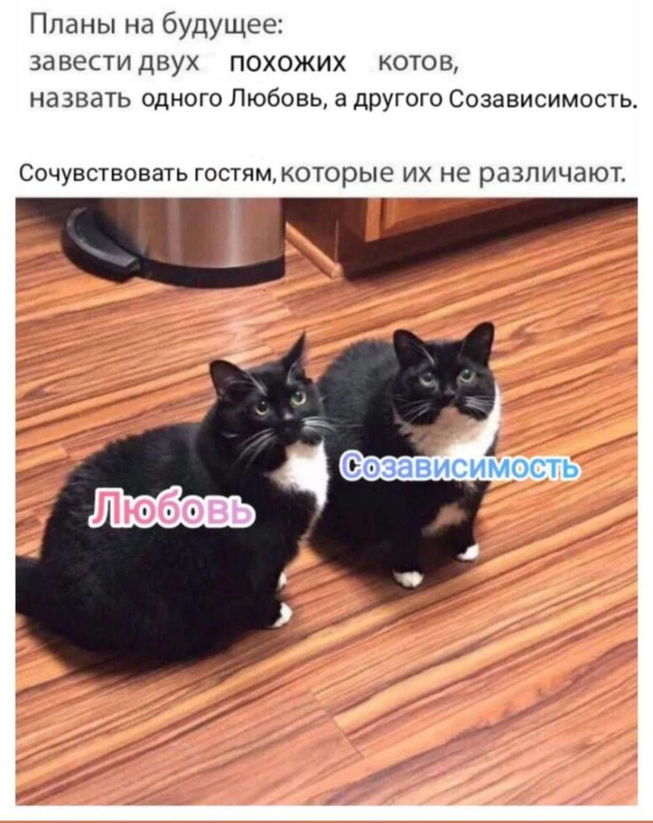 Мужчина-спасатель и женщина-жертва: созависимость в паре

Это самый частый сценарий в отношениях. Не