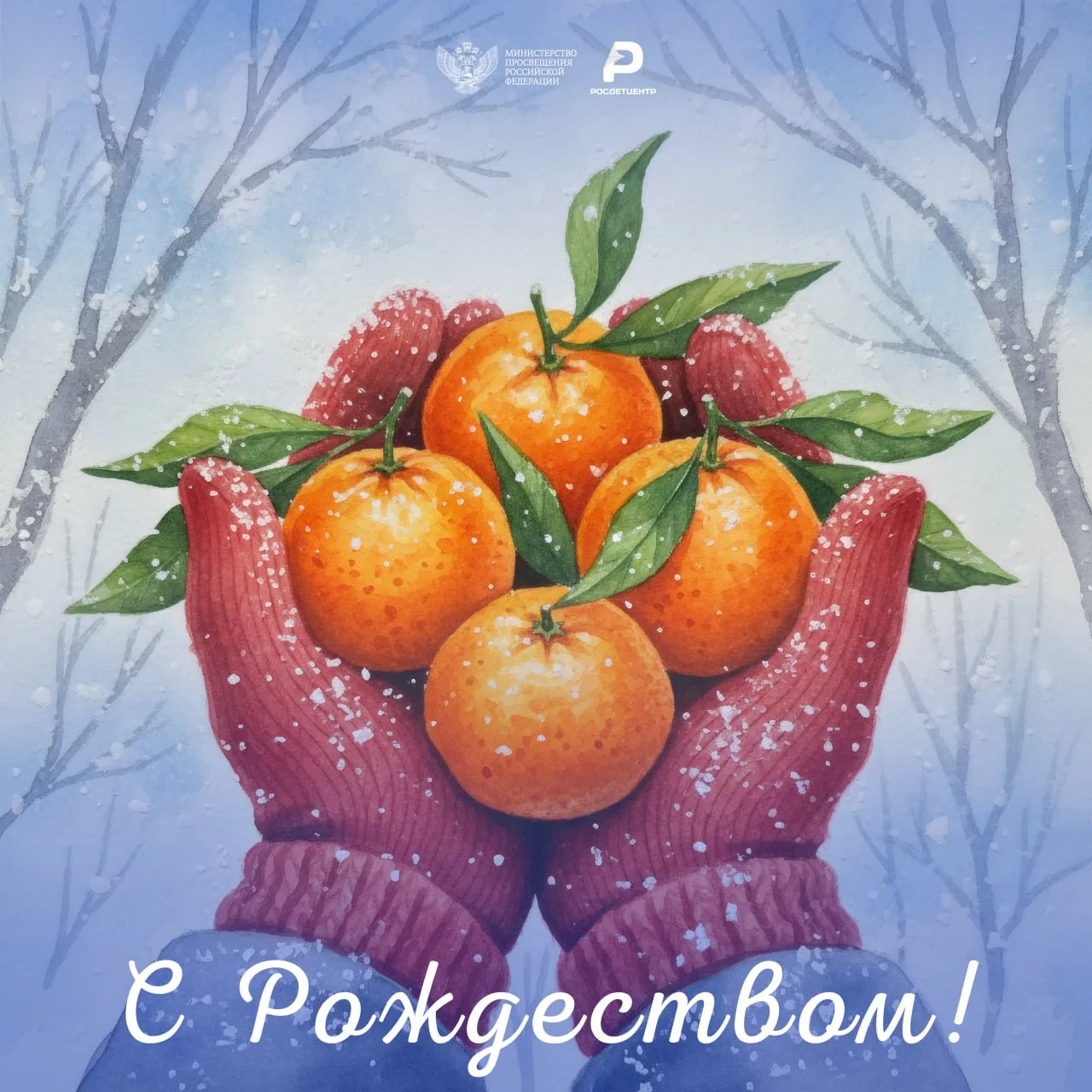 Канун Рождества Христова🎄  В канун праздника делимся открытками, чтобы вы могли бы вы поздравить ими