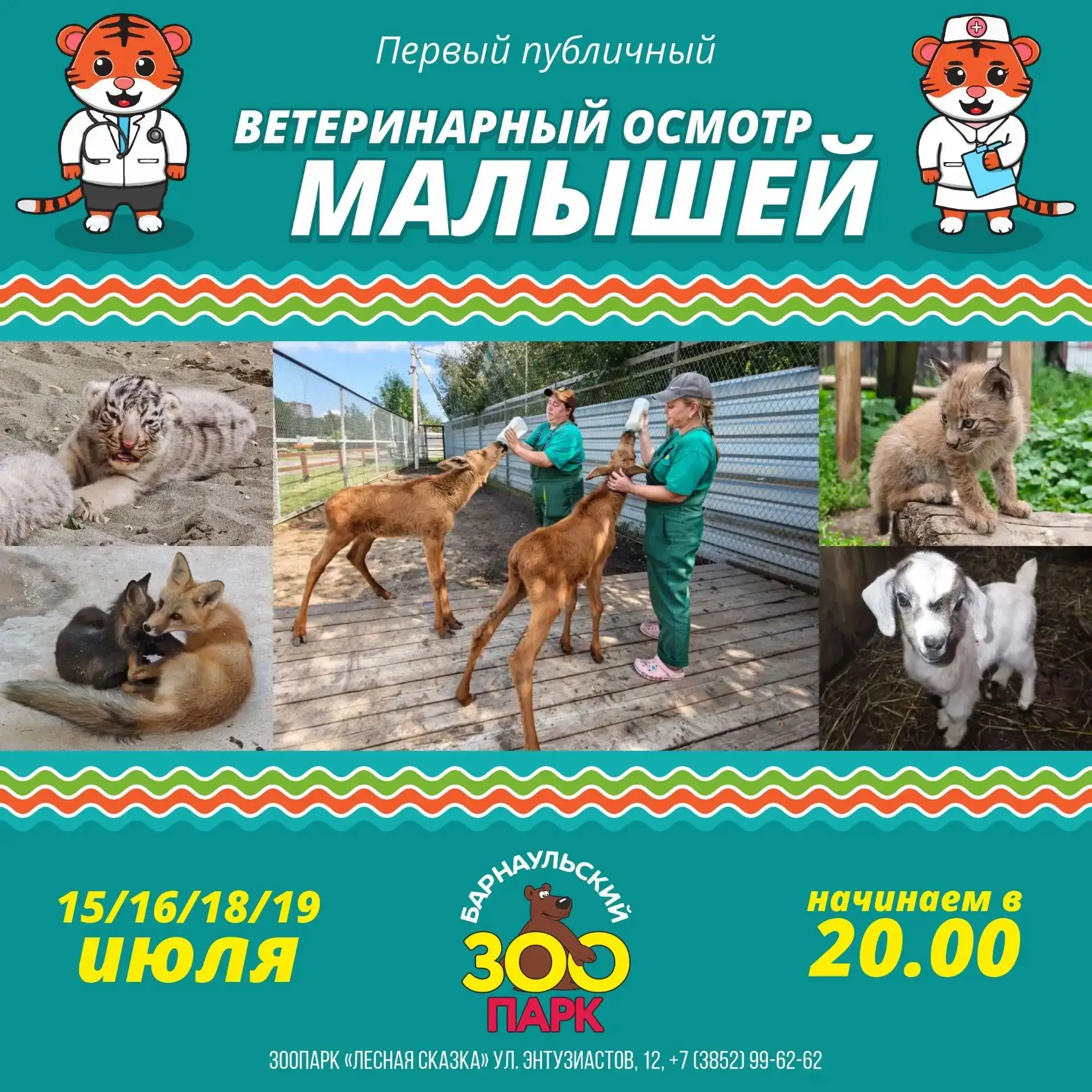 Уникальное событие в Барнаульском зоопарке: первый публичный ветосмотр!