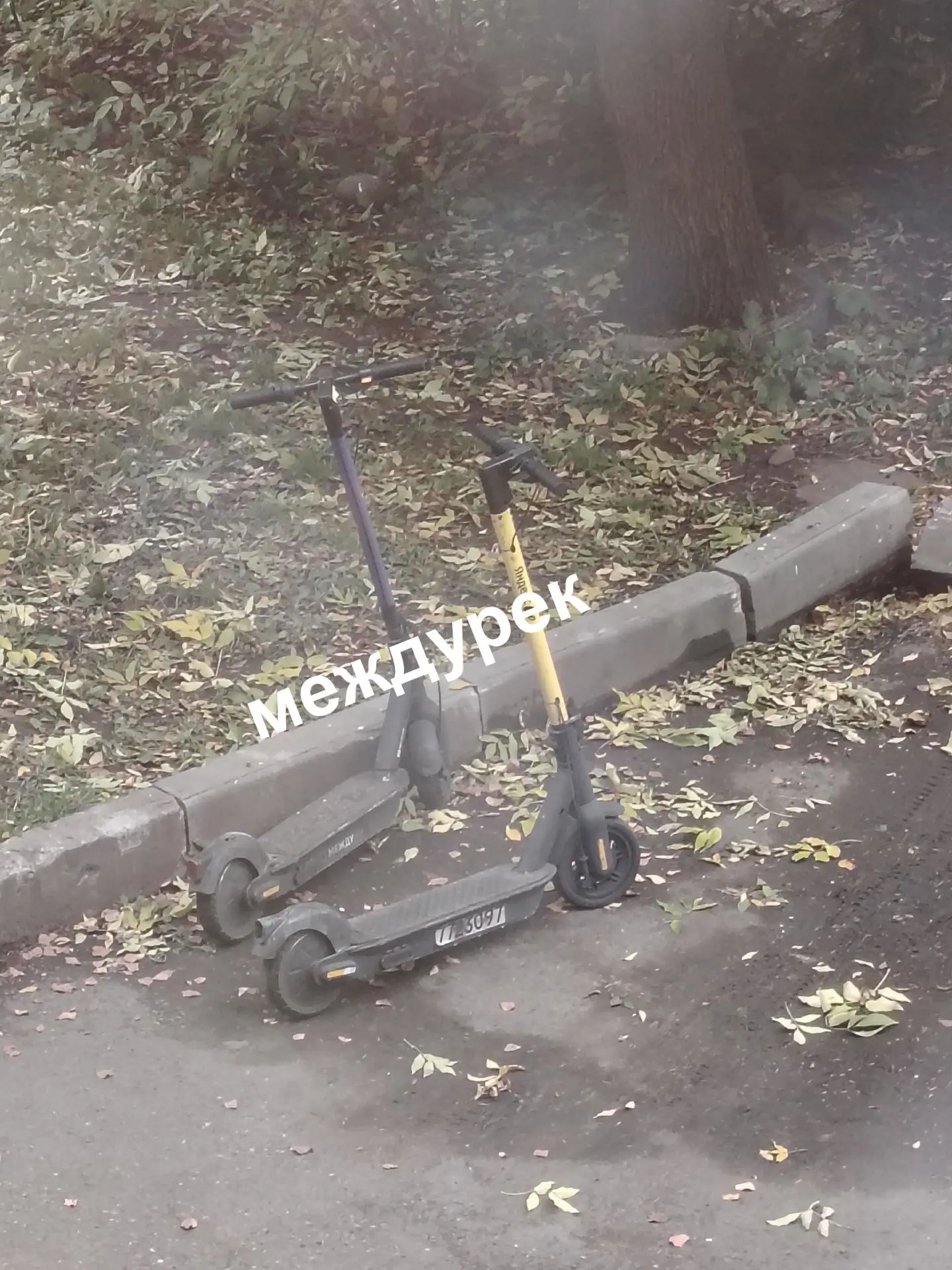 Владельцы частники этих дурацких самокатов. Вы вообще следите где ваши самокаты раскида...