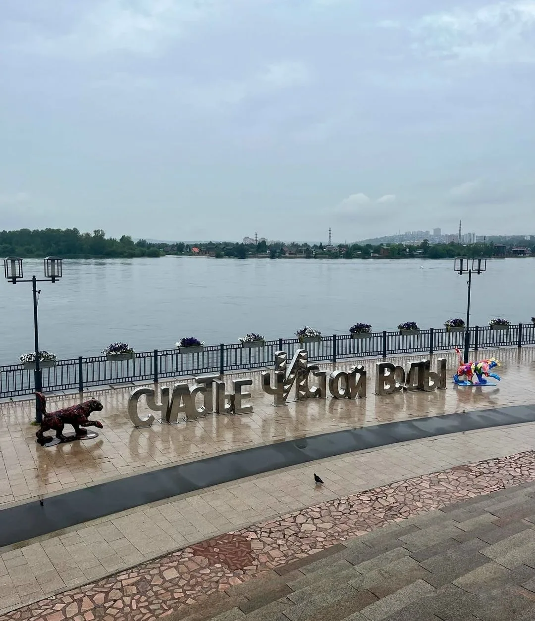 Доброе утро☔️