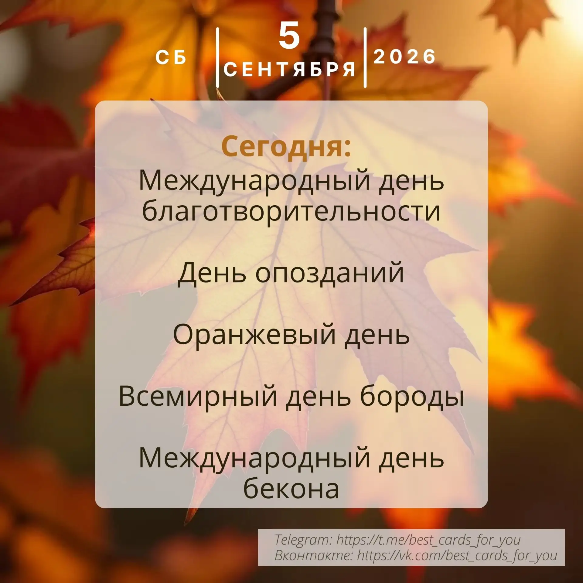 Отличного настроения в это солнечное утро🌞 Ловим классные моменты