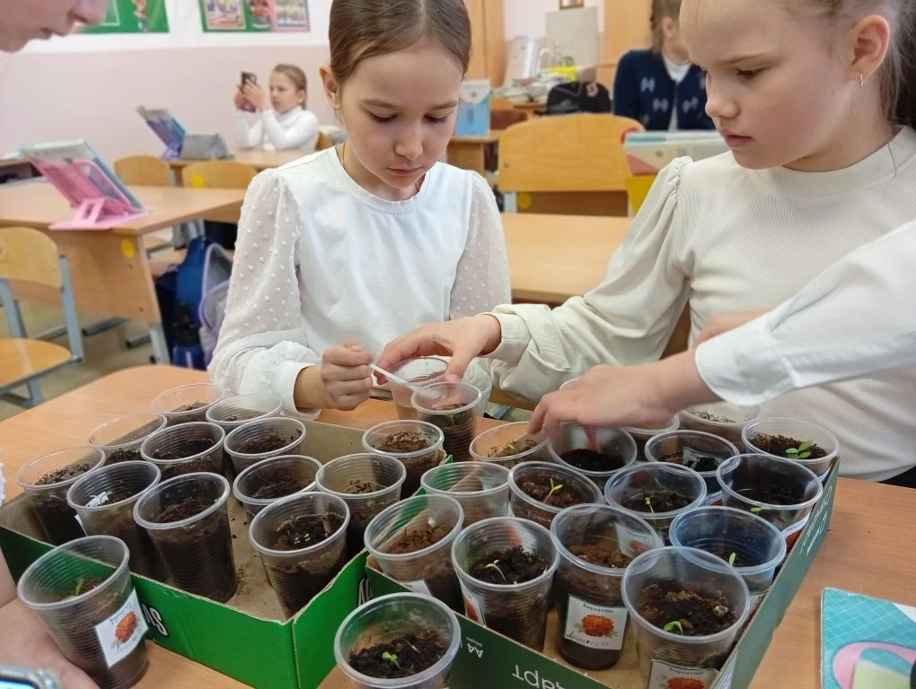 Международный день Земли отмечается  22 апреля. Это праздник, который посвящен защите окружающей сре