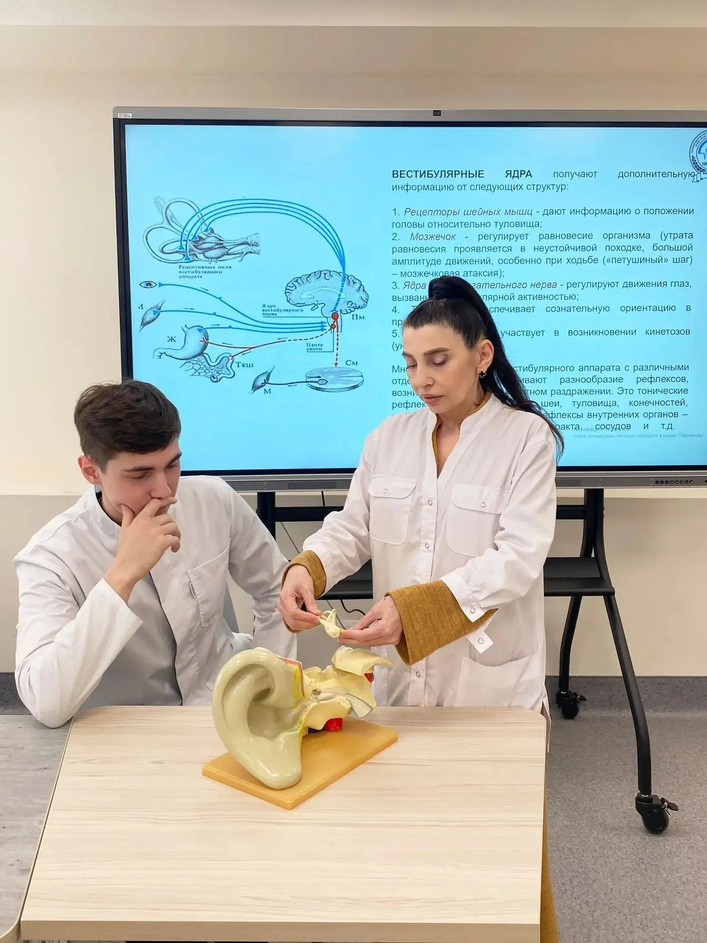 🧠 Как мы чувствуем этот мир? Студенты изучают сенсорную систему