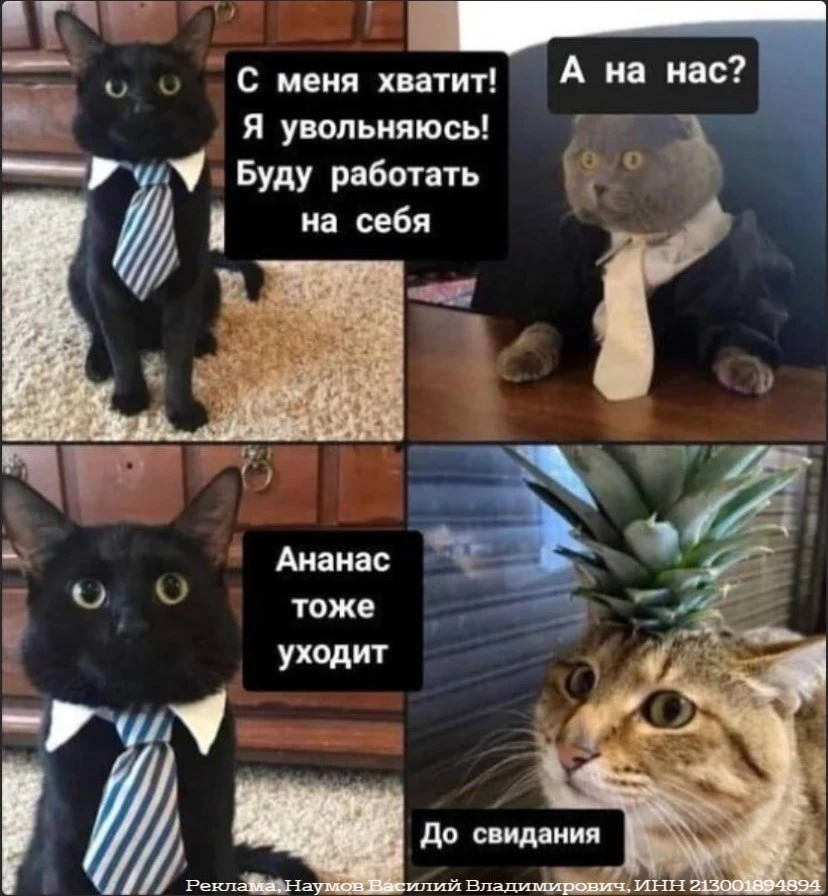 Хочешь приличную работу в Новгороде? Подпишись на Работа Великий Новгород в Макс!