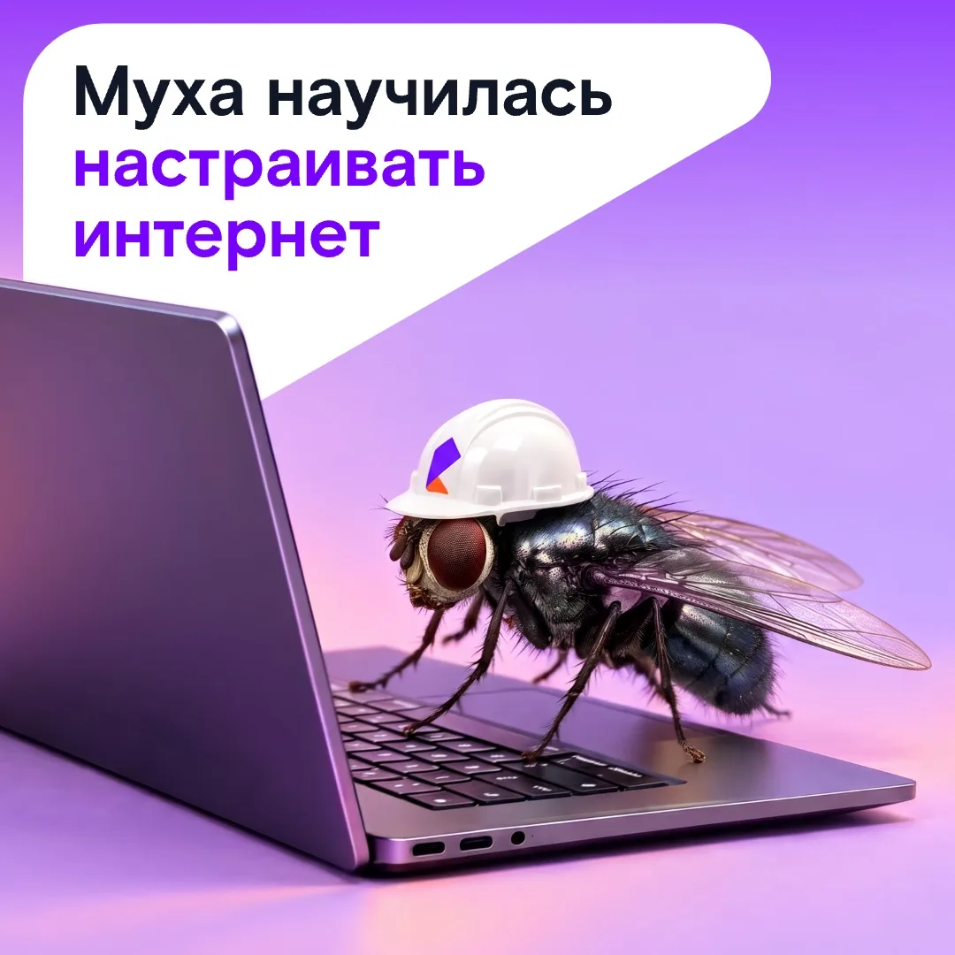 Оцифрованный мозг мухи-дрозофилы бьёт все рекорды по обучаемости. Берём её на работу?