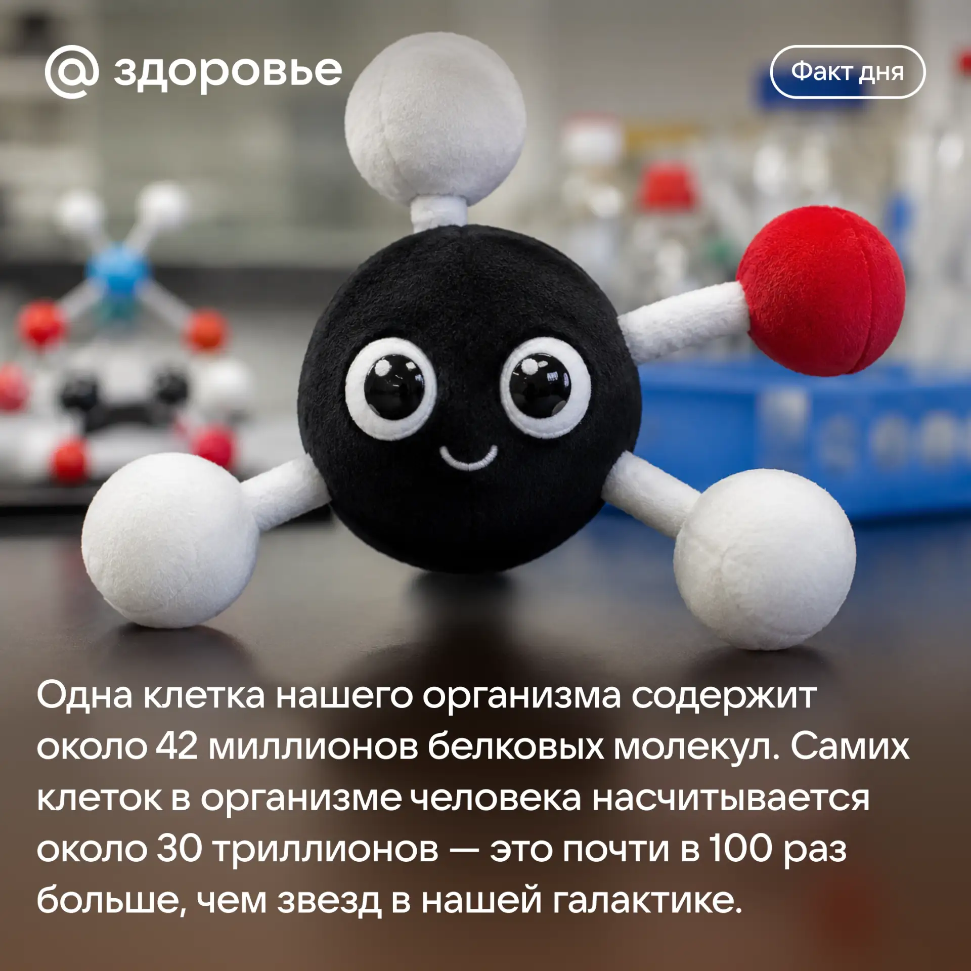Хорошего дня! ☺️