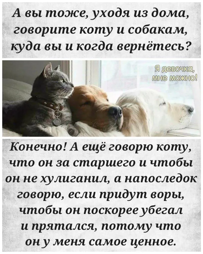 Наш канал ЛУЧИК РАДОСТИ ✨