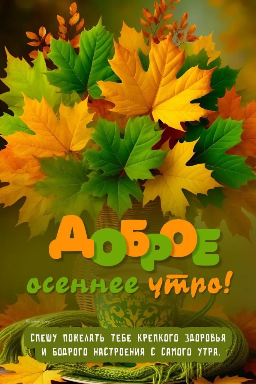 #доброеутро