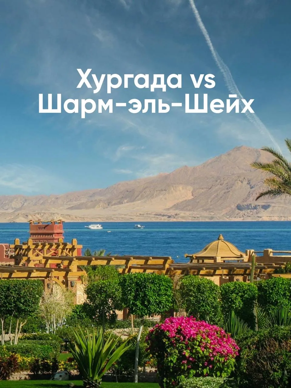 Хургада или Шарм-эль-Шейх, на чьей ты стороне?