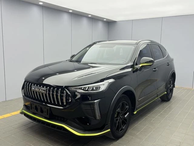 🚘Haval Chitu Purple Brass Rabbit