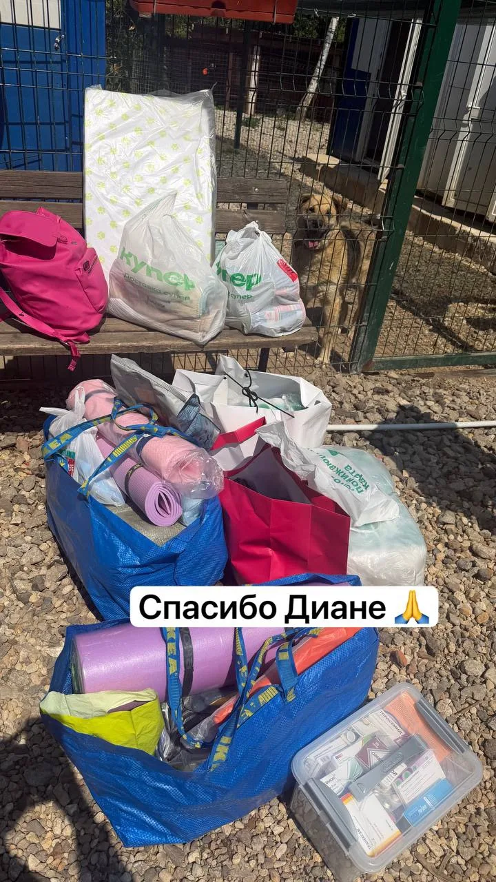 🤍🕊️
Спасибо огромное КАЖДОМУ из вас за участие в жизни наших подопечных.
Все подарки переданы личн