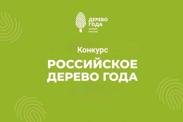 Голосуем за Главное дерево страны!

Конкурс «Российское дерево года» является национальным отборочны