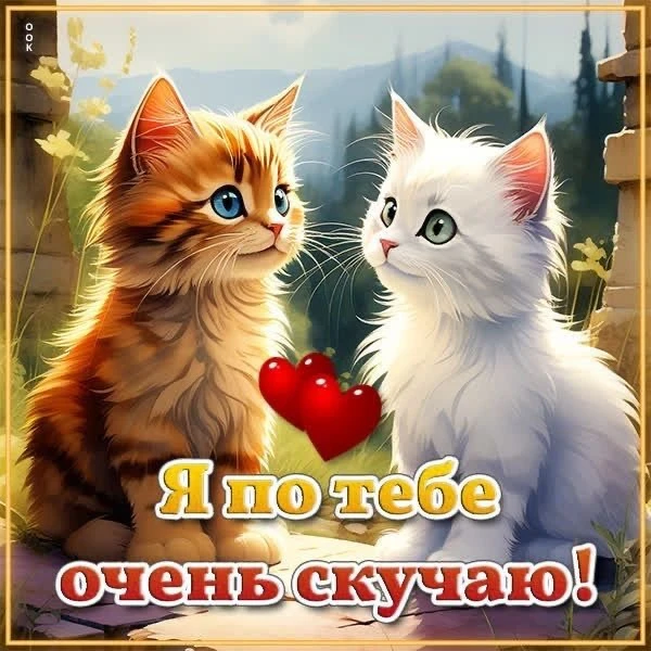 Красивые открытки❤️