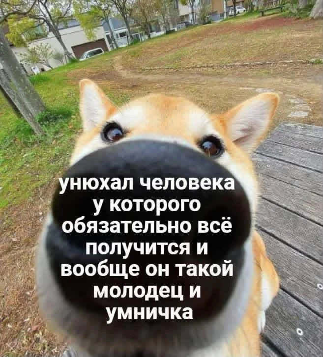 Мы в тебя верим