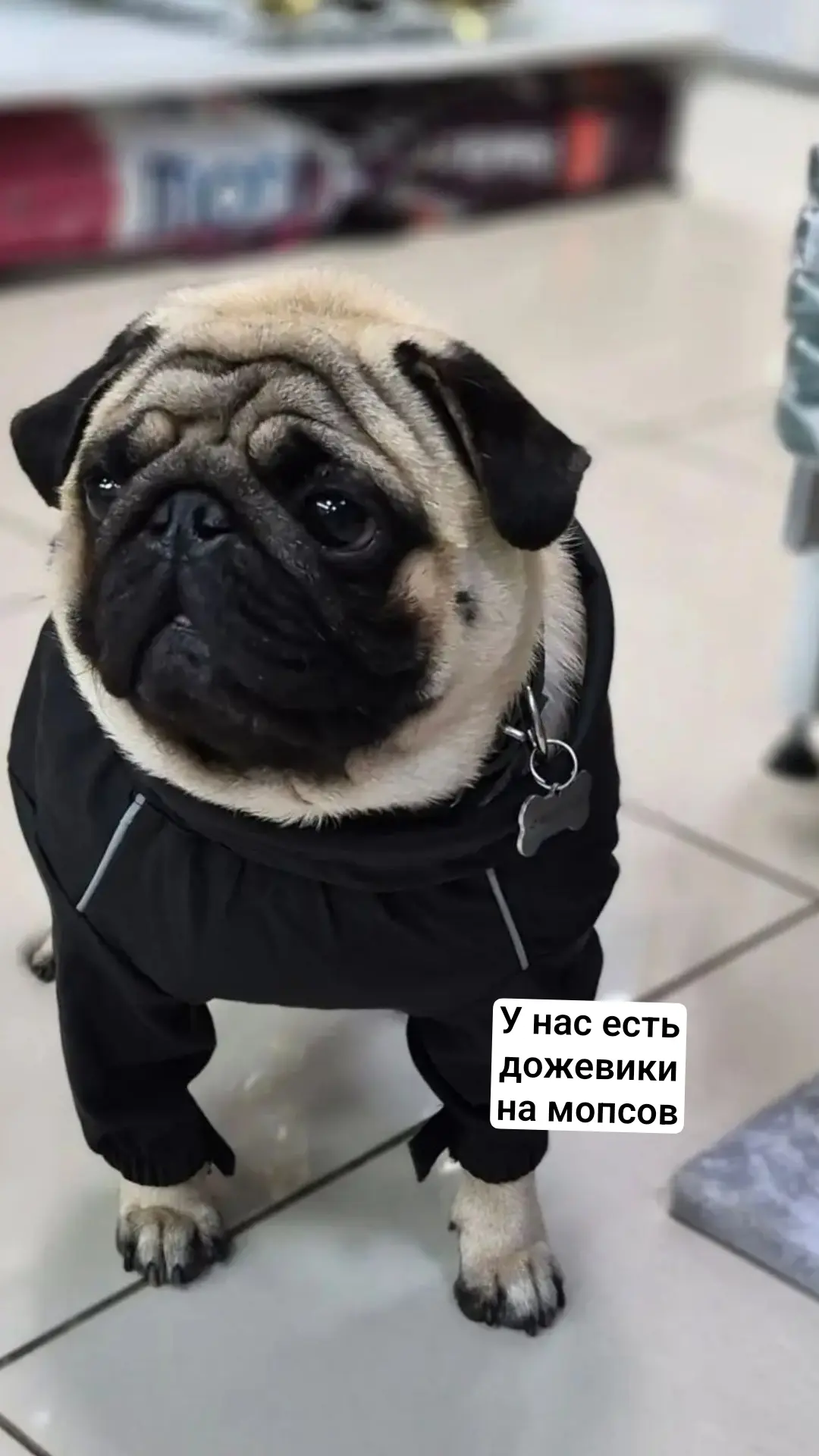 От 950 до 2750 р. Зависит от модели