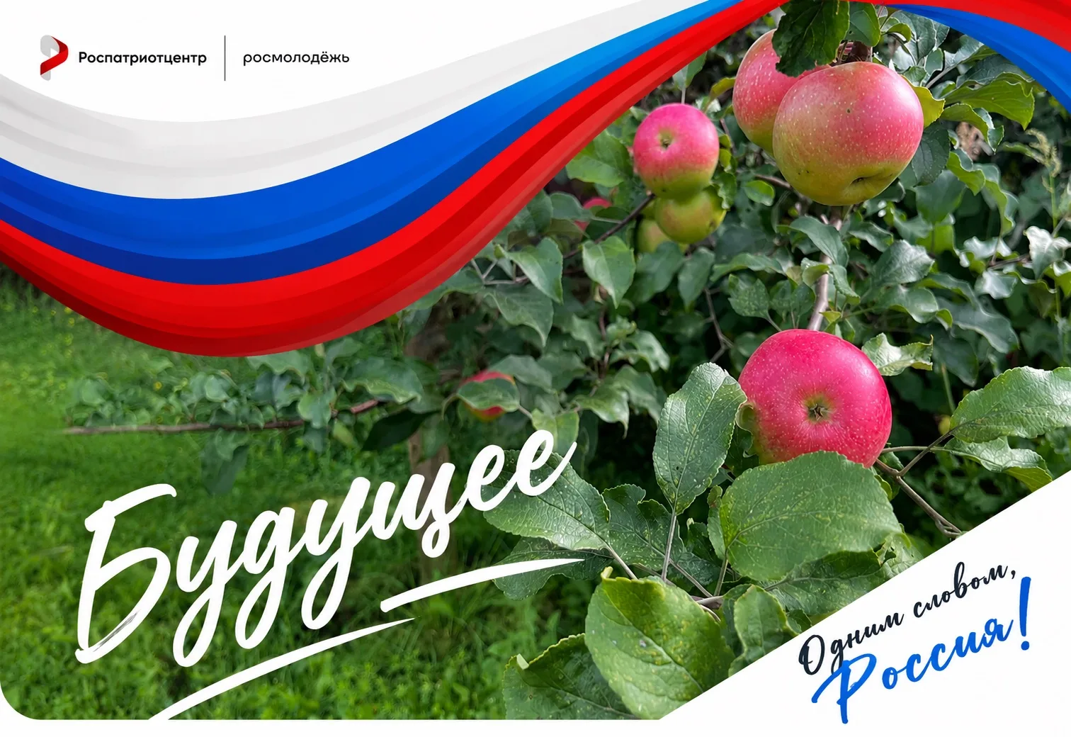 🇷🇺 РОССИЯ - ЭТО…