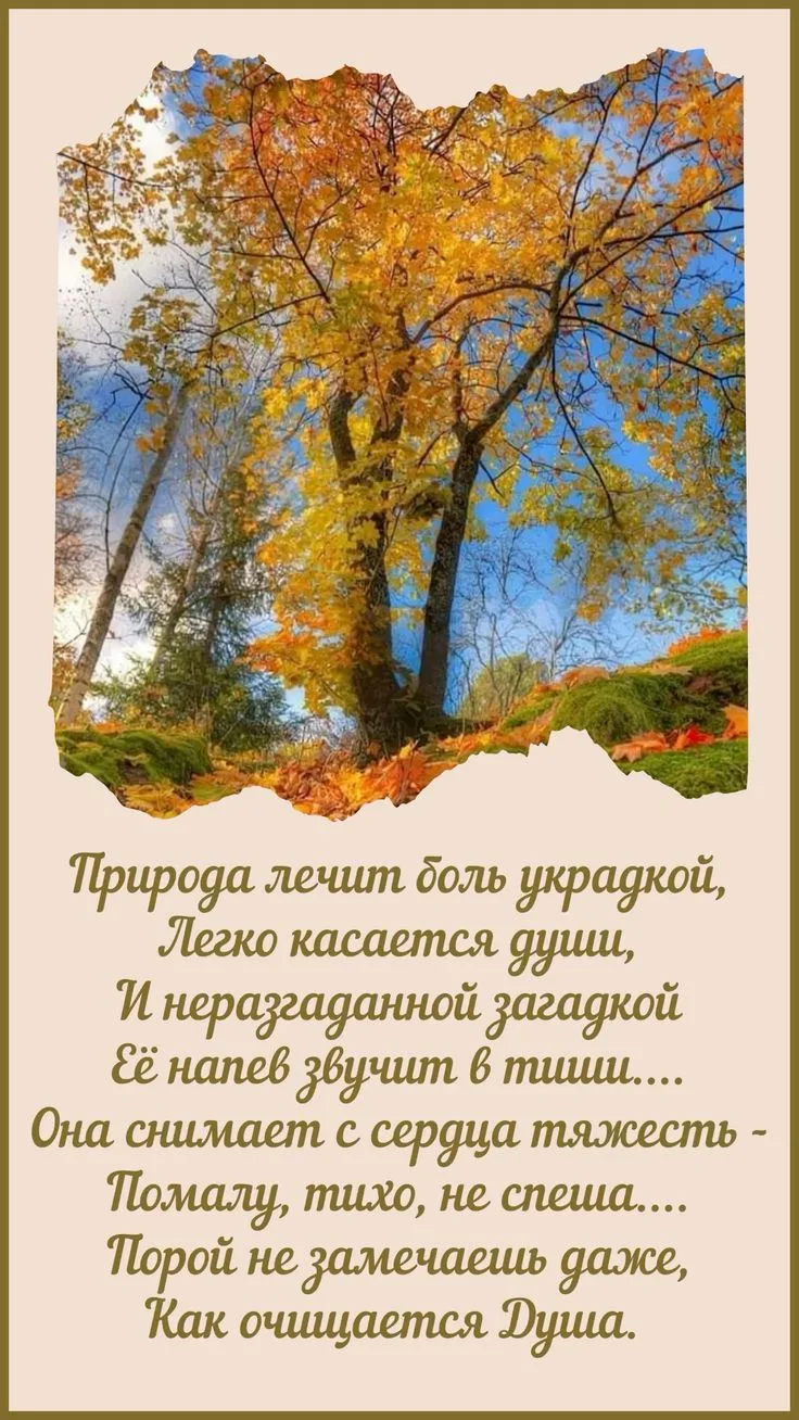 Стихи...✍