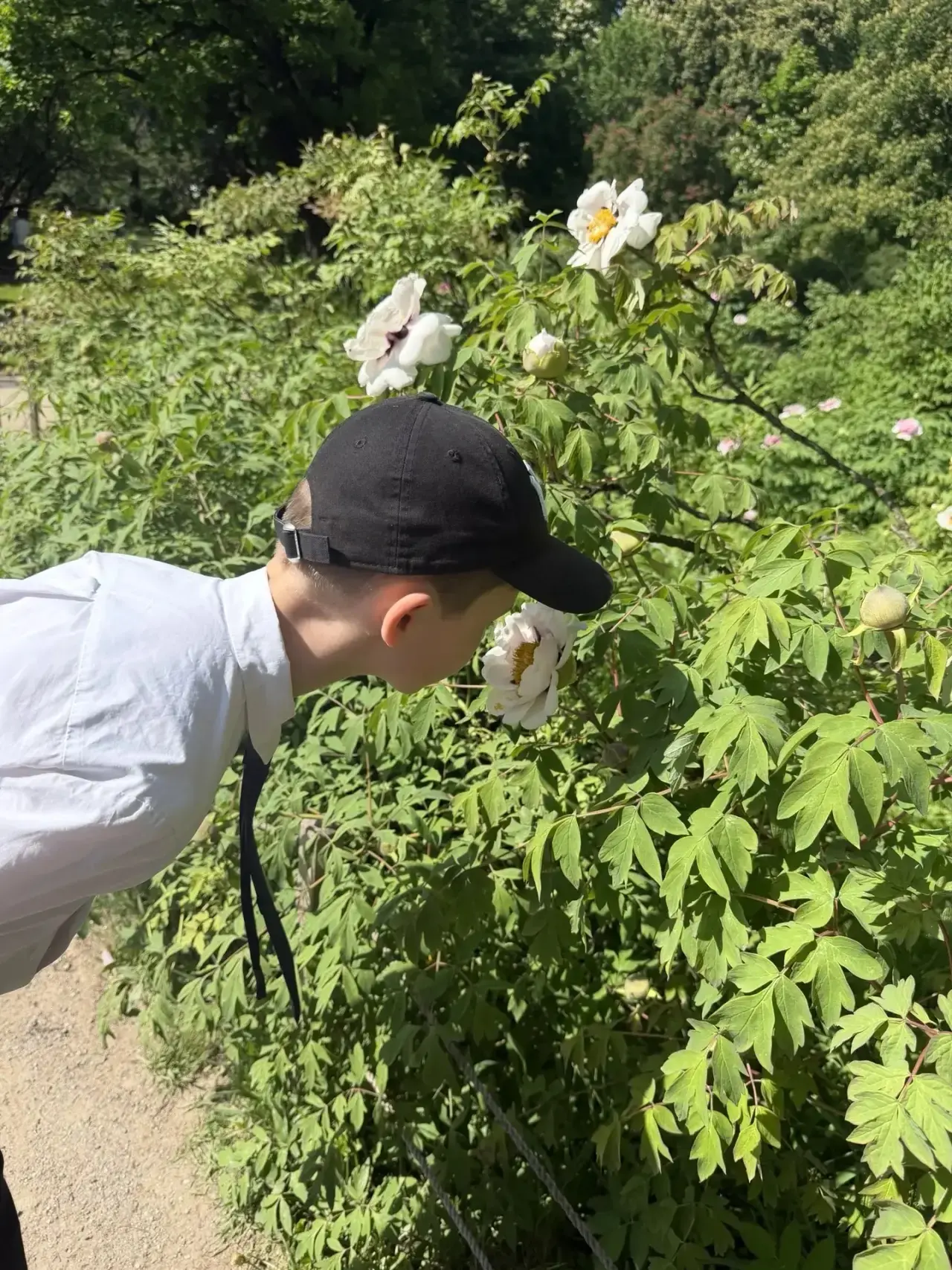 Аптекарский огород 🌿  Старейший ботанический сад России основал Петр І. В разгар Северной войны он п