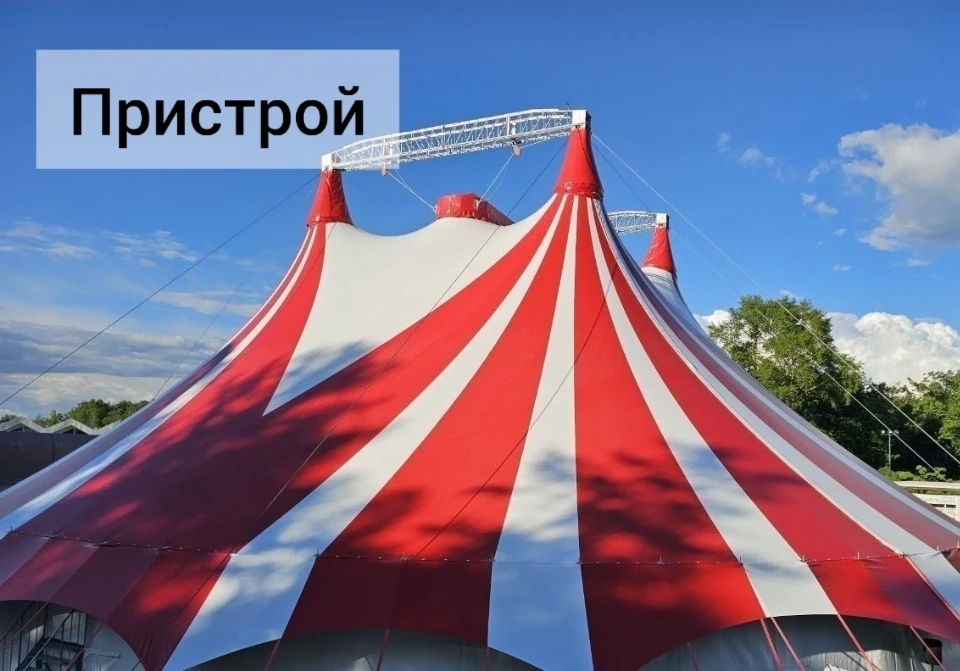 Кто не успел взять 🎪ЦИРК, этот пост для вас: