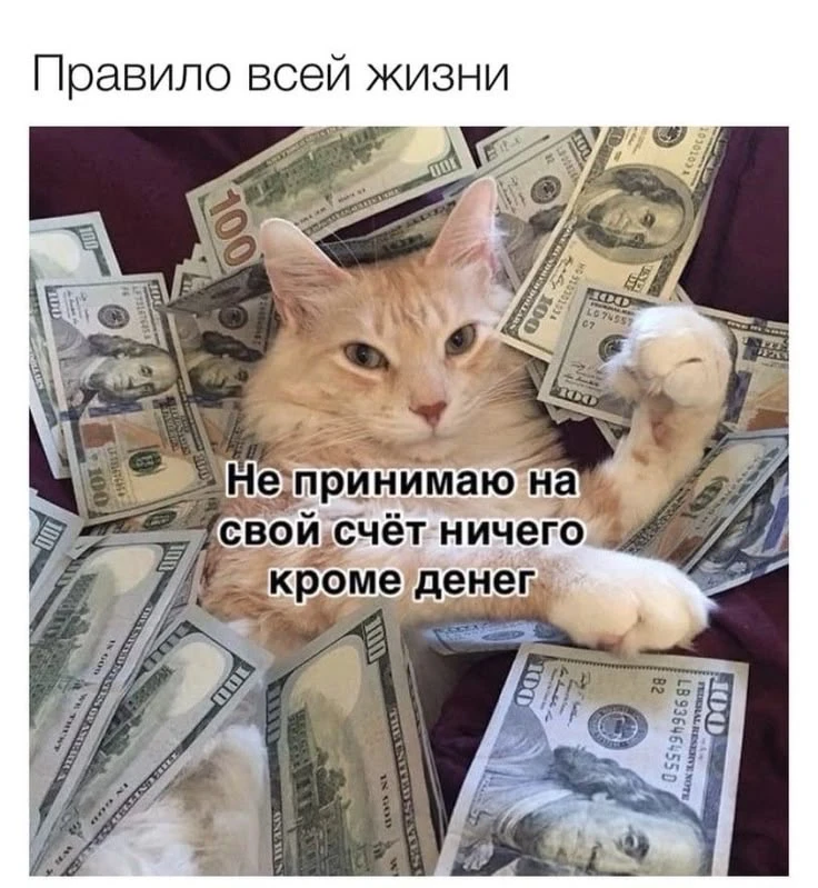 Мы?)