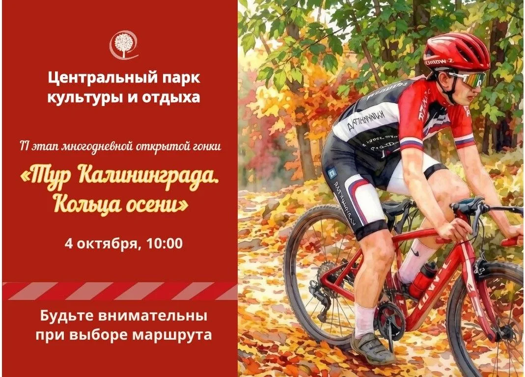 🍂 Осень, лесные тропы и скорость! 🚴💨