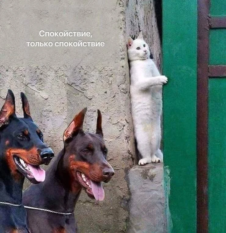 Доброе йогическое! ☀️