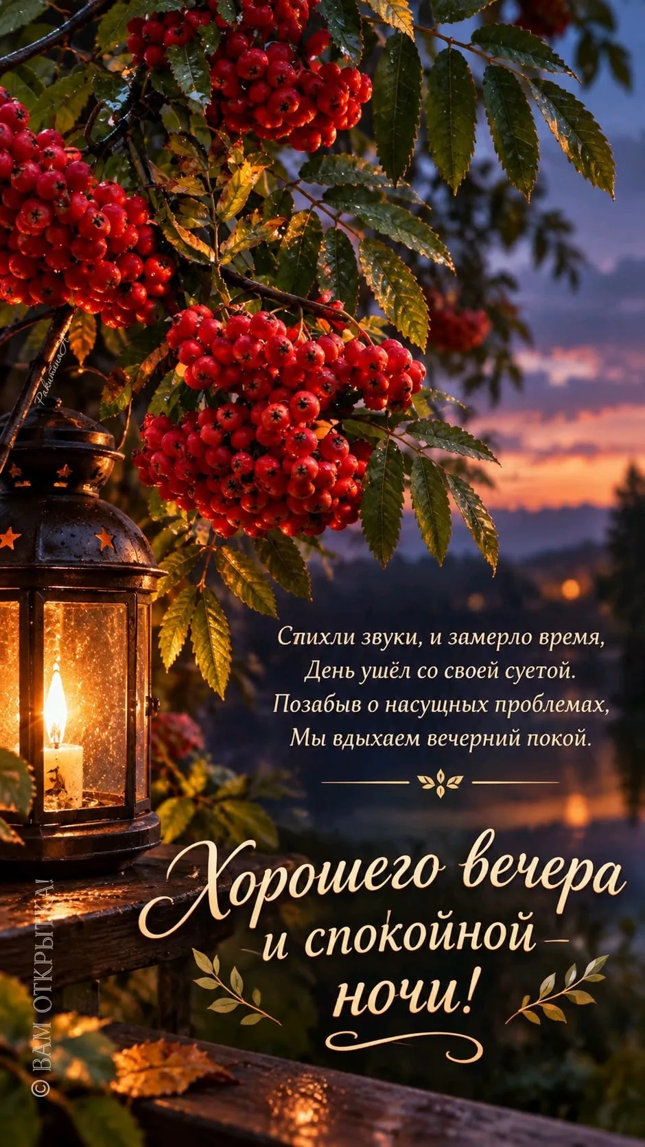 💌 Добрые открытки в MAX