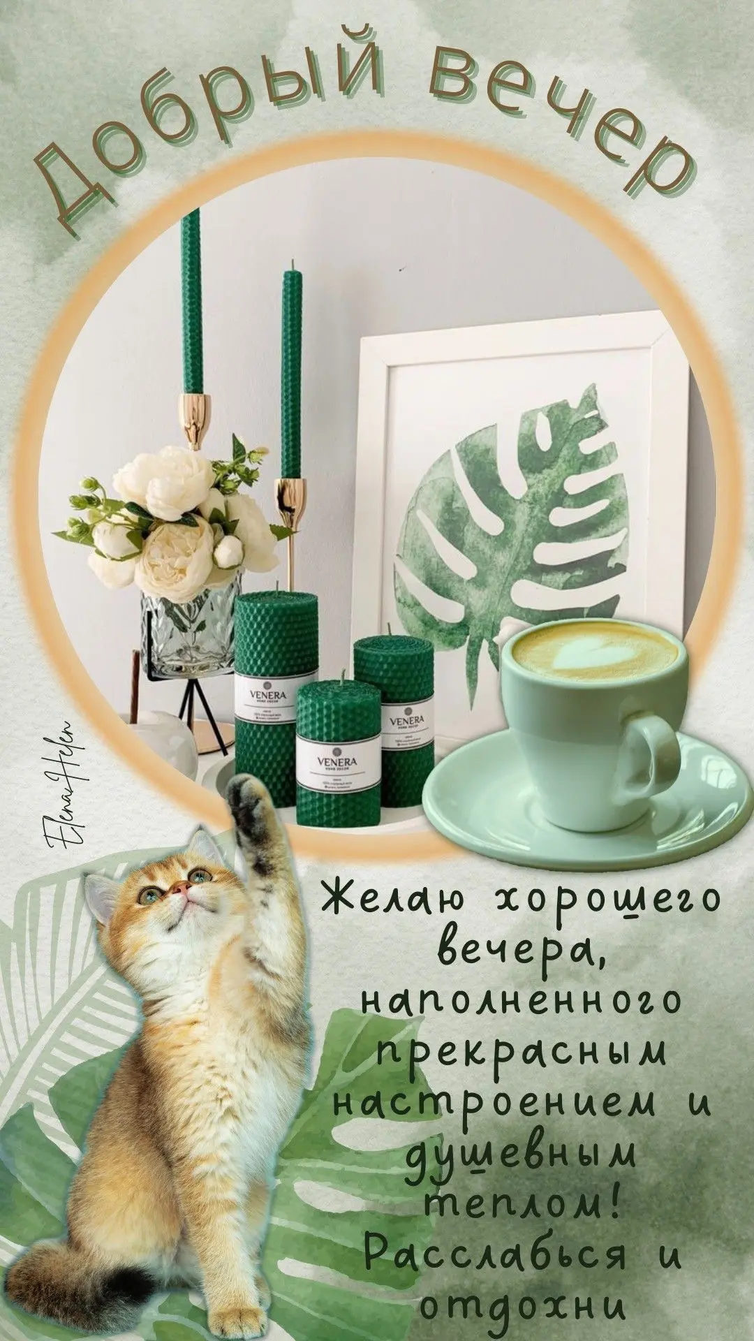 #хорошеговечера